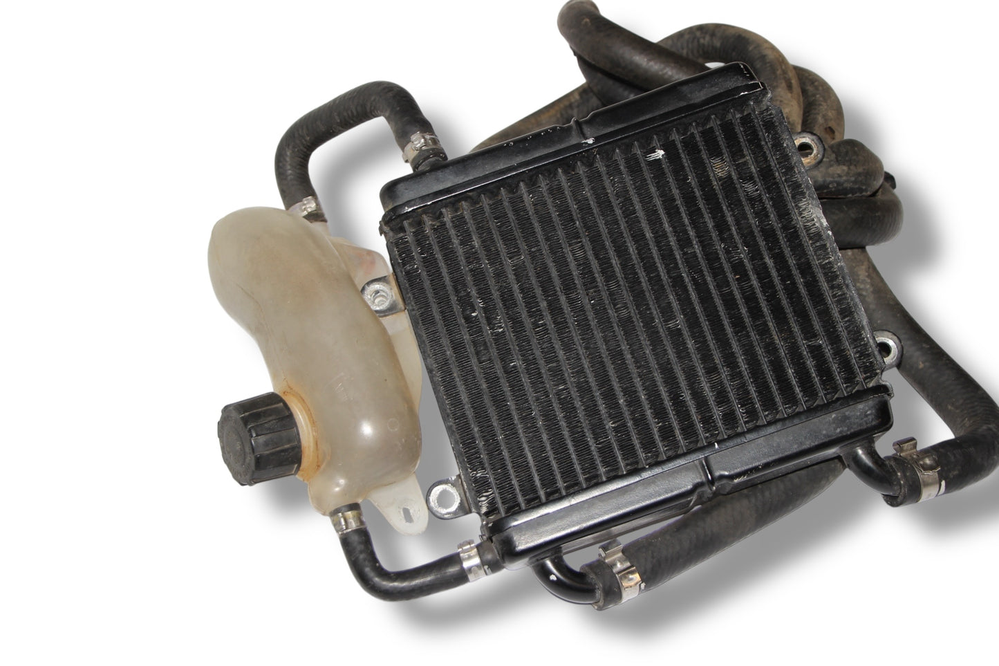 Yamaha Aerox Kühlsystem