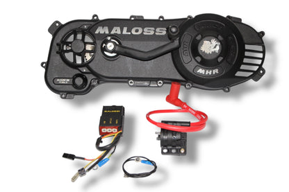 Polini Pre 70ccm Editon C-One Motor