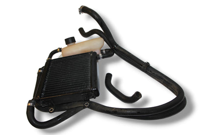 Yamaha Aerox Kühlsystem