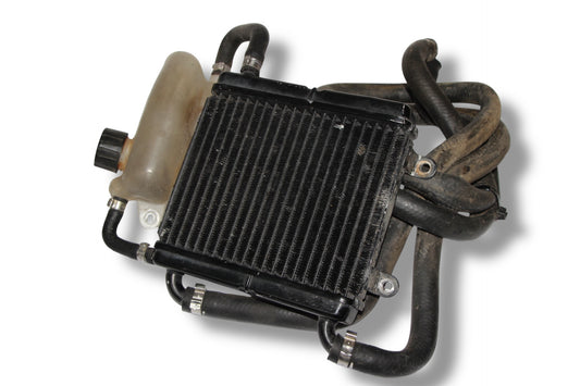 Yamaha Aerox Kühlsystem