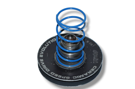 Polini Evolution keramische variator