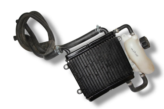 Yamaha Aerox Kühlsystem