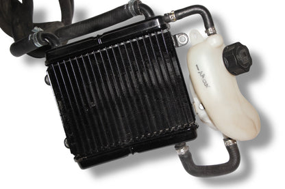 Yamaha Aerox Kühlsystem