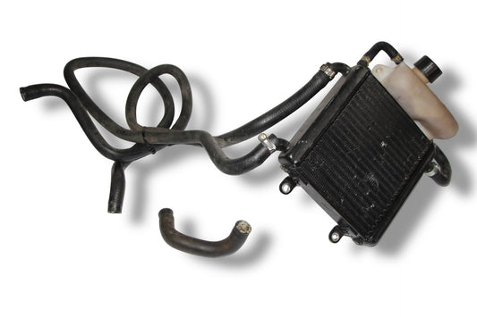 Yamaha Aerox Kühler