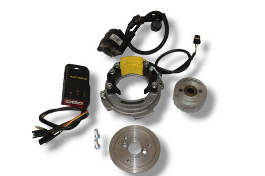 Malossi MHR Team 2 Innenrotorzündung