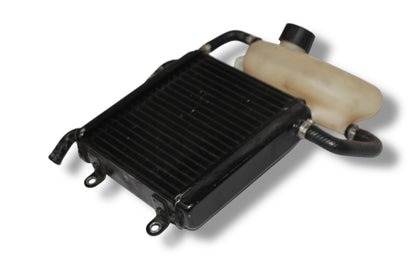 Yamaha Aerox Kühler original