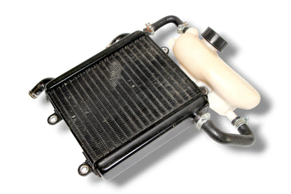 Yamaha Aerox Kühler