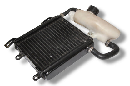 Yamaha Aerox Kühler