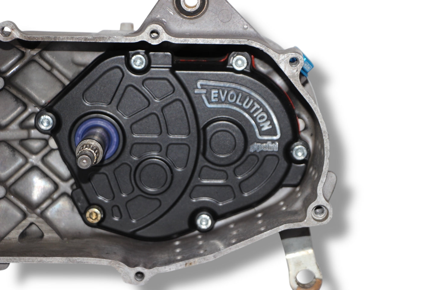 Polini Evolution 94ccm Motor / Polini Evolution 94ccm Auspuff