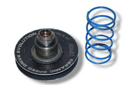 Polini Evolution Ceramic Variator