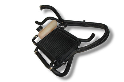 Yamaha Aerox Kühlsystem