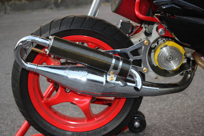 Échappement Yasuni C21